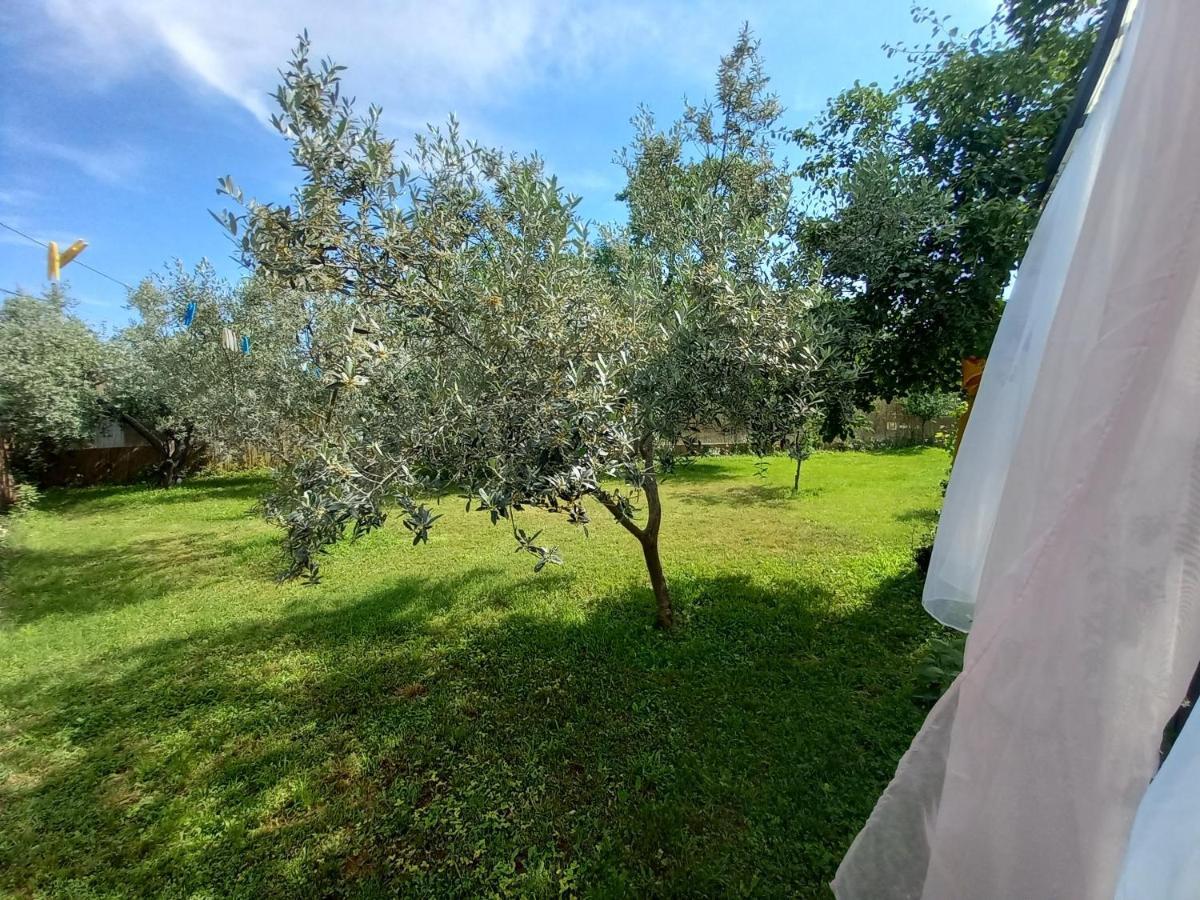 Holiday House Chill Out Loborika Marčana Dış mekan fotoğraf